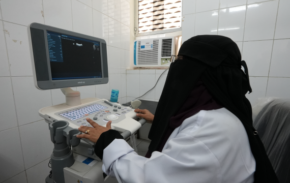 Health Sector